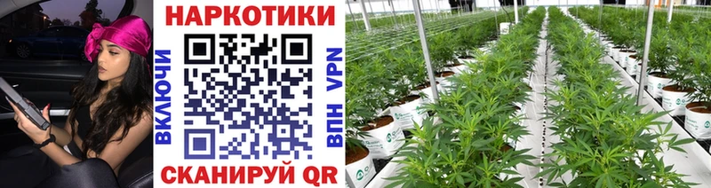 Как найти наркотики Майский МАРИХУАНА  NBOMe  Галлюциногенные грибы  ГАШИШ  МЕФ 