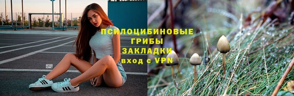 меф Алексин