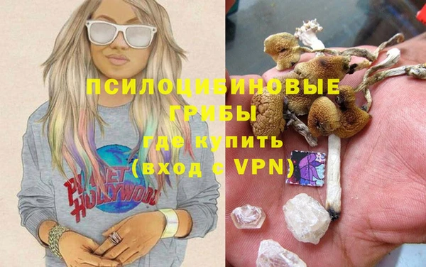 ALPHA-PVP Алексеевка