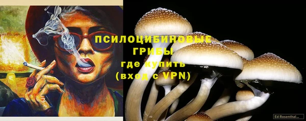 ALPHA-PVP Алексеевка