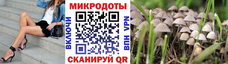 цена наркотик  Майский  Псилоцибиновые грибы мицелий 